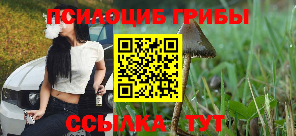 Вичуга  Псилоцибиновые грибы Magic Shrooms  Вход с VPN 